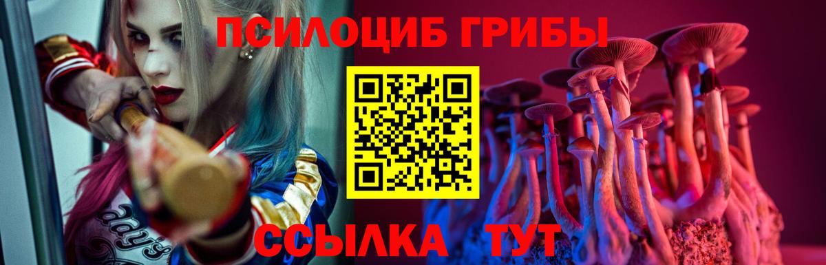 Псилоцибиновые грибы прущие грибы Азнакаево