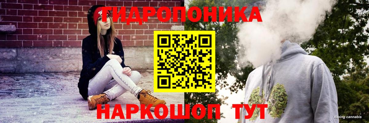 Бошки Шишки конопля Азнакаево